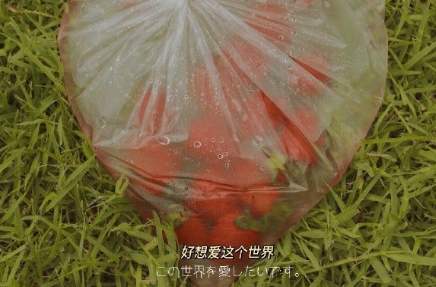 表达对对方一见倾心的文案带图片 烟花转瞬即逝灰烬倒是永恒15