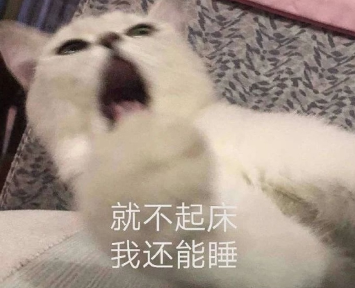 不想起床发朋友圈的搞笑说说 赖床睡懒觉的有趣说说1