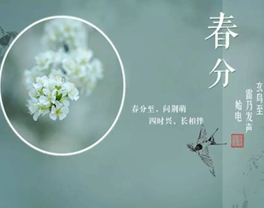 2021春分节气的暖心祝福语 今日春分的朋友圈说说2