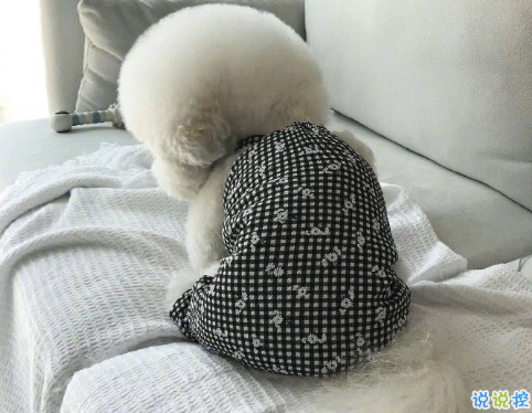 适合挂在微信状态上的简短句子 适合微信状态的简短文案2