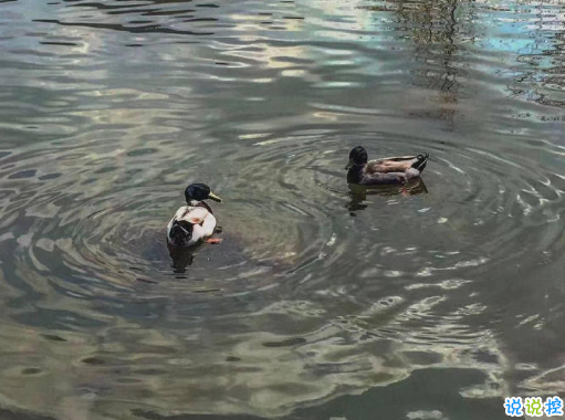 文化人发朋友圈的哲理句子 适合朋友圈的好听短句2