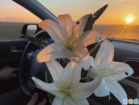 一见钟情的酸酸甜甜朋友圈短句 最新发朋友圈暗恋感觉的句子1