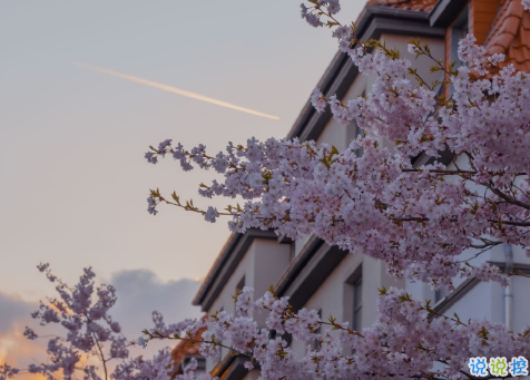 表白失败后的伤感虐心句子 爱而不得的伤感文案2