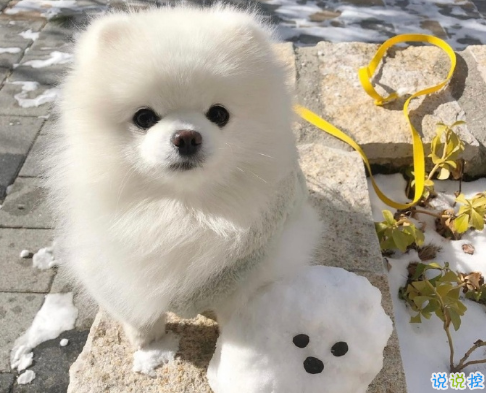 人生坎坷的心得与感悟句子 感慨人生不易的句子1