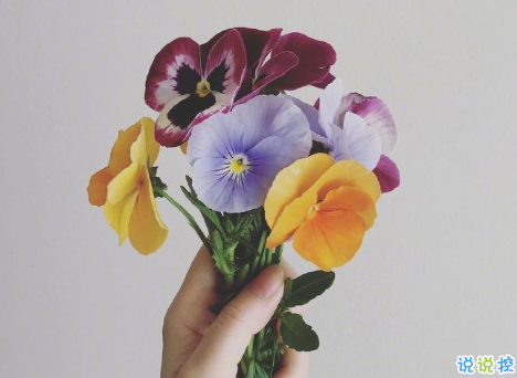 00后文艺又又意境的微信状态文案 适合00后的微信状态句子1