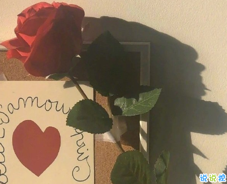 比晚安更高级的撩人情话 睡前情话最暖心撩人8