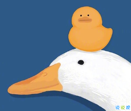 比晚安更高级的撩人情话 睡前情话最暖心撩人9