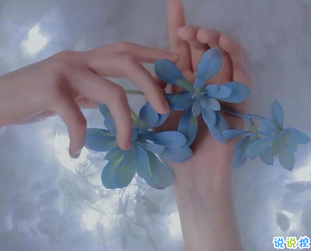 比晚安更高级的撩人情话 睡前情话最暖心撩人14