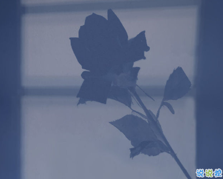 温暖至极的温柔朋友圈说说带图片 超级治愈又温柔的短句6