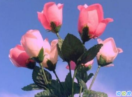 祝闺蜜生日快乐的说说简短感动带图片 适合朋友生日发朋友圈的说说7