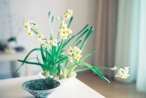 关于人生生活还有成长的有哲理内涵精辟的说说带图片4