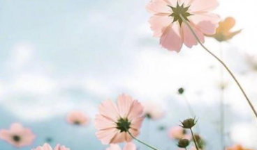 七月早安正能量励志哲理说说带图 早安!七月!14