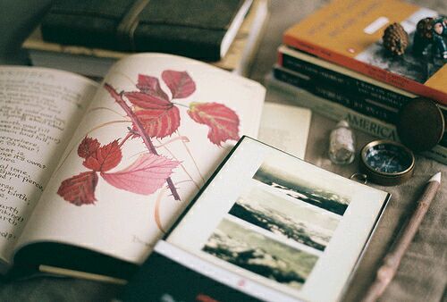 简单美好生活的小清新诗意句子带图片2