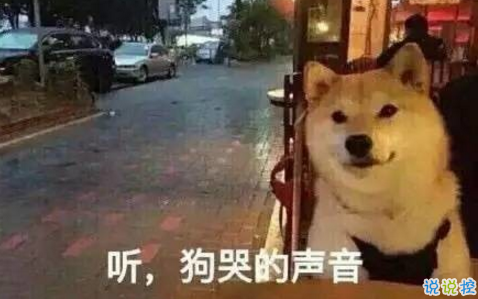 2018朋友圈七夕单身狗段子加配图 关于七夕搞笑说说图片段子2