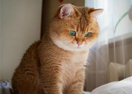 可以戳中中你笑点的搞笑说说带图片7