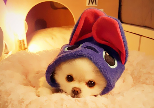 可以戳中中你笑点的搞笑说说带图片9