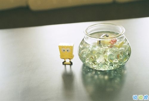 幸福情侣唯美说说带图片大全 我要陪你从新型安走到归属感和安全感6