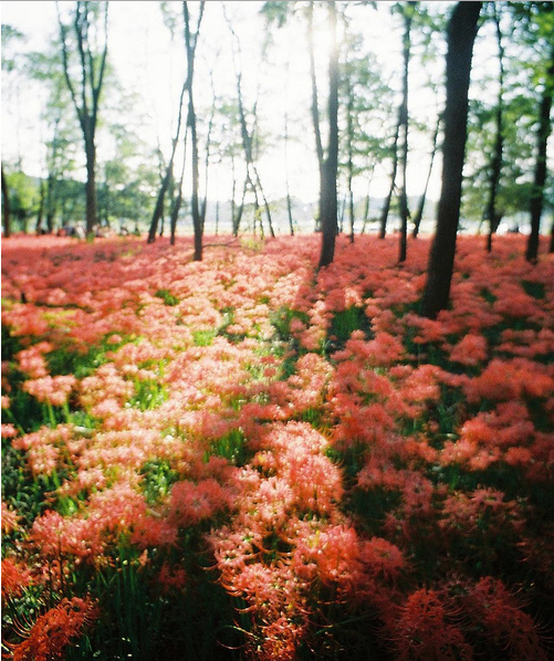 人在途中慢慢成长学会长大的经典哲理句子2