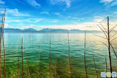 不是每件事都注定会成功,但是每件事都值得一试12