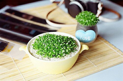 关于人生和爱情的唯美小清新句子带图片 我路过万家灯火而你才是我的归途9