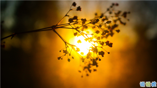 姑娘，我有15句悄悄话说给你听。9