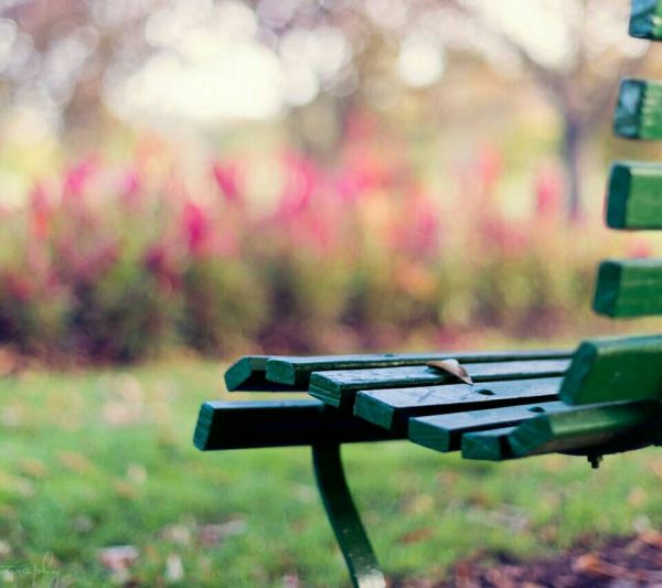 超唯美的经典人生感悟说说带图片 都说人生如戏12