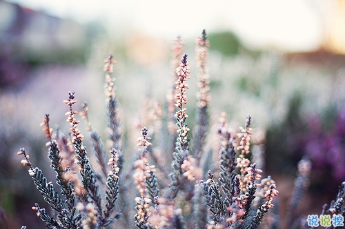 抖音最火爆最肉麻的情话合集 情侣间情话大全听了起鸡皮疙瘩2