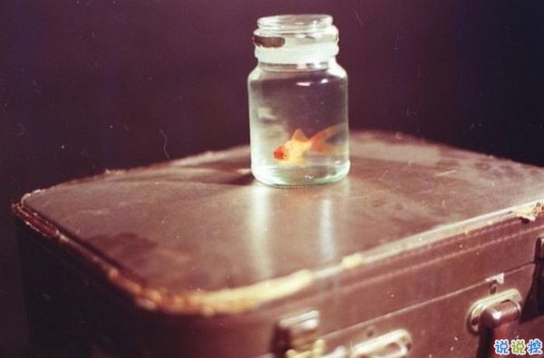 文字控喜欢的简单唯美的一句话说说带图片 烟尘滚滚一路行来我应是迷了路了4