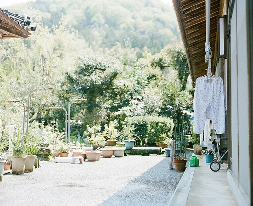 爱情中的甜蜜句子 很甜很少女的爱情情话句子1