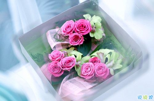 2019关于春分的微信说说带图片 春分节气早安祝福语9