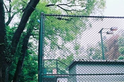 关于人生和爱情的唯美小清新句子带图片 我路过万家灯火而你才是我的归途14