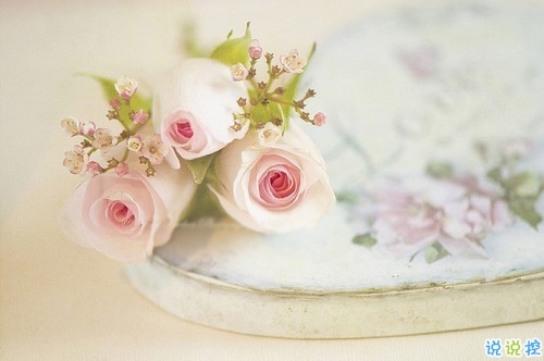 2019告别二月迎接三月励志说说配图 三月你好朋友圈早安心语6