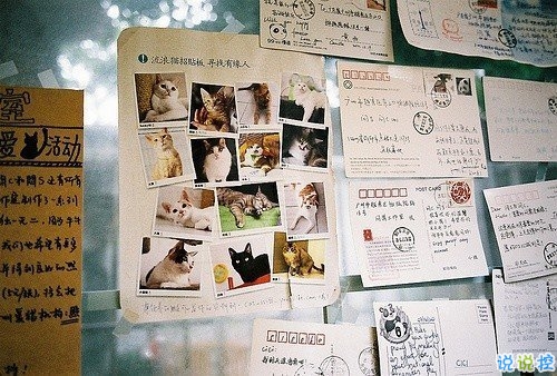 经典唯美文艺小清新说说带图片 这人世间本就是寒来暑往日出日落4