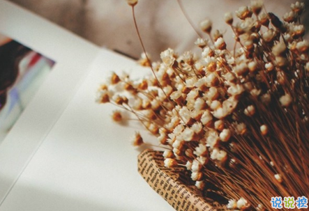 余生还是不要你指教了，我自己过吧6