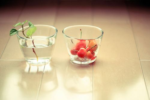 关于人生生活还有成长的有哲理内涵精辟的说说带图片15