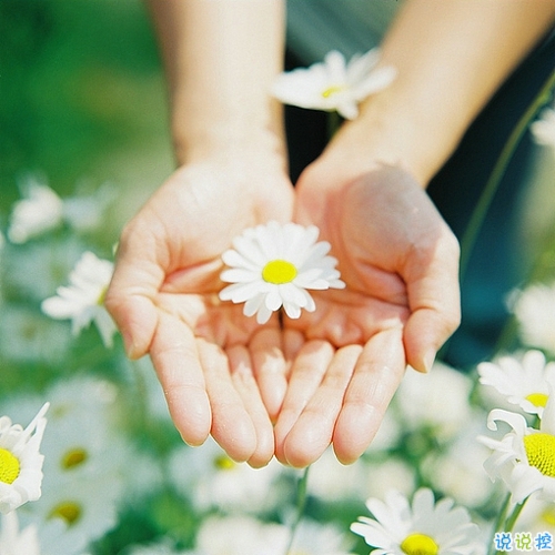 优美说说唯美的句子配图：海底月是天上月，只是镜花水月5