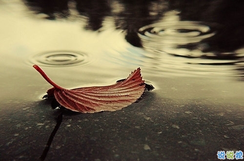 2019下雨天伤感心情说说带图片 忍不住伤心流泪的说说合集4