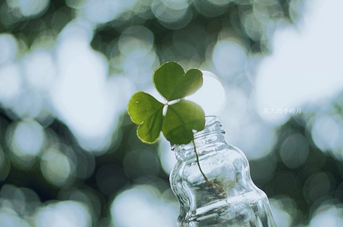 唯美又简单的一句话说说带图片 你本是这世间独一无二千般好6