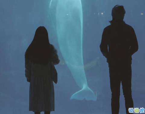 微博说说说到心坎上带图片 总有这么一个人会让你毫无原因地笑起来  6