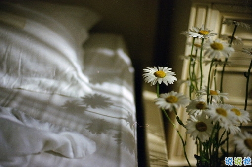 最新适合毕业季发的说说带图片 时光不老我们不散5