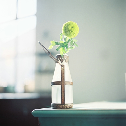 甜蜜浪漫文艺小清新喜欢的爱情图片说说 决定做你的“小太阳”温暖你保护你7