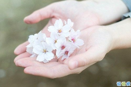 唯美简单的英文说说带图片 世人万千种浮云莫去求8