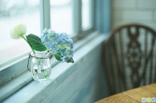 文字控喜欢的简单唯美的一句话说说带图片 烟尘滚滚一路行来我应是迷了路了7