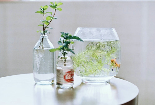 盘点周杰伦那些唱到我们内心深处的歌词带图片11