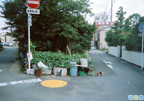那些和青春夏天有关的唯美简单小清新图片句子 阳光倾落风雨都不舍1