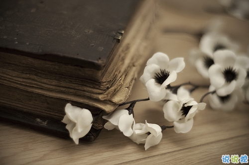 最新适合毕业季发的说说带图片 时光不老我们不散8