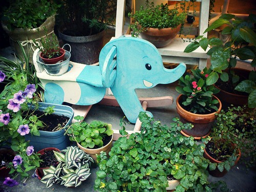 唯美文艺说说带图片 想做一个长长的梦回到十九岁那年9