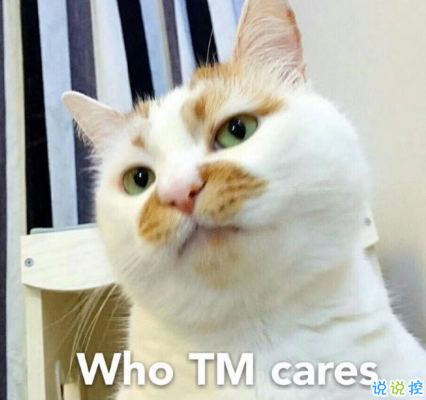 2018朋友圈说说搞笑配图 朋友圈必评论的搞笑说说11