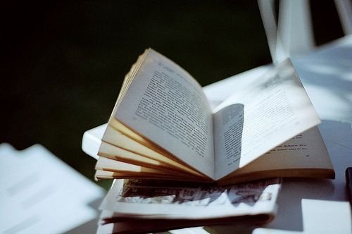 简单美好生活的小清新诗意句子带图片1