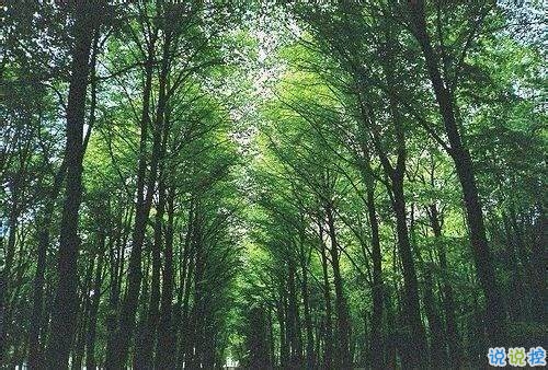 很经典的英文说说带翻译有配图 英文心情说说大全11